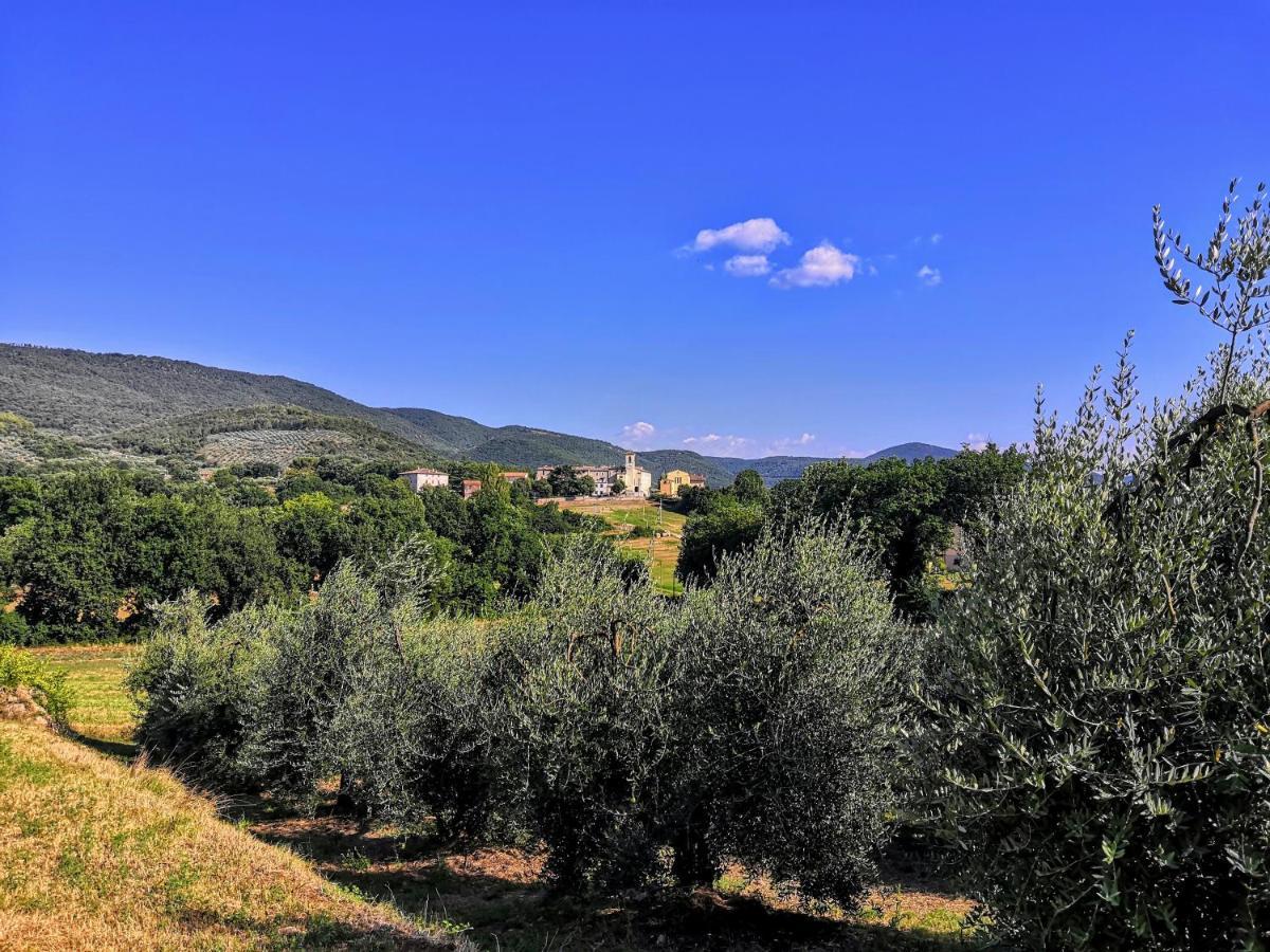 Acero Rosso Holiday home Massa Martana